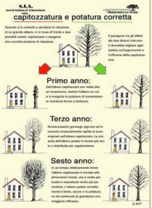 capitozzatura