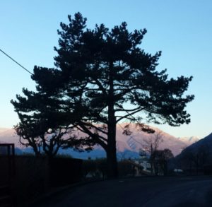 img-20170129-wa0011